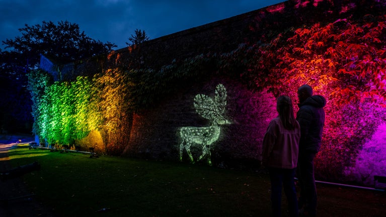 Multicoloured lights projected along a stone wall, with a projection of a stag at its centre. There are two people standing off to the right, admiring the lights.